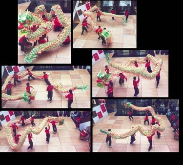 10 person traditional dragon