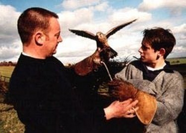 Several thirty minute falconry displays throughout the day