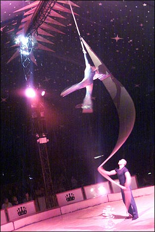 Bringing colour, fun and spectacular new circus to your event.