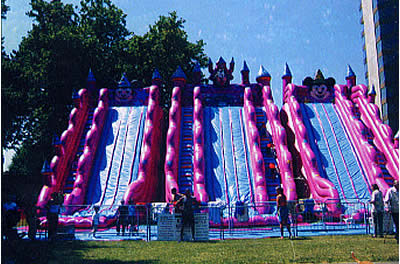 Giant Inflatable Slide